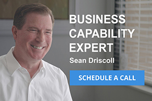 Business capability expert